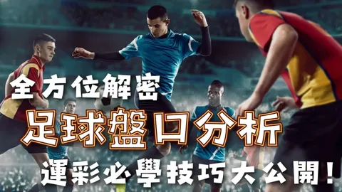孫興慜：熱刺球迷之光照亮我前進征程
